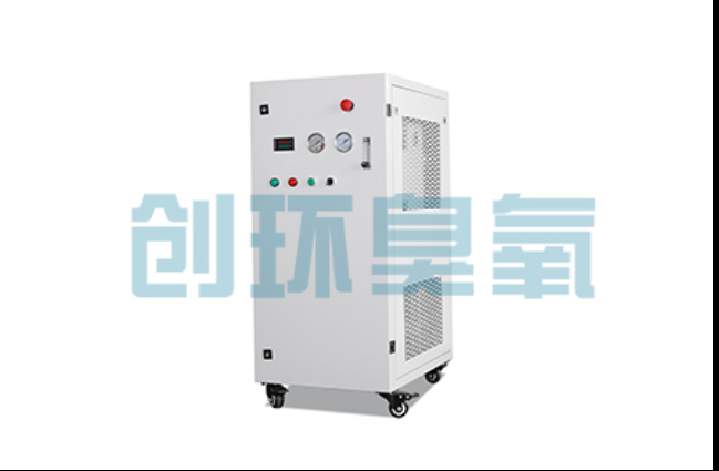 宝山工厂化养鲈必看:2026年臭氧发生器替代传统消毒的最新方案