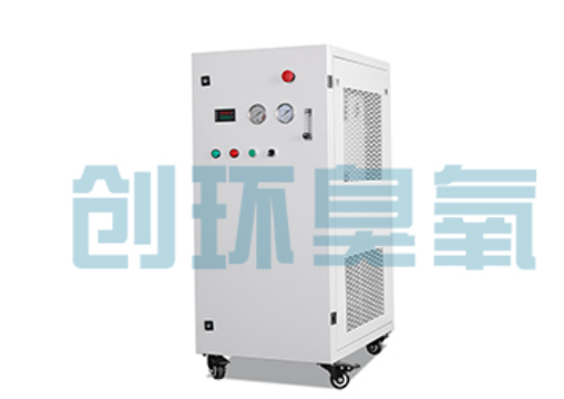 宝山石斑鱼养殖水质调控完整指南:臭氧发生器配置与操作步骤
