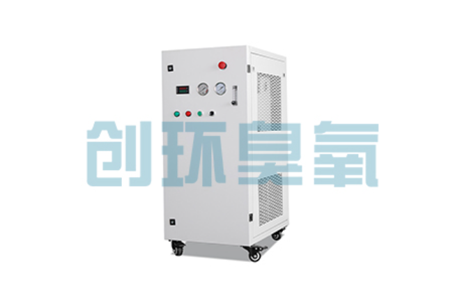 宝山比传统换水更高效?臭氧发生器在石斑鱼养殖中的水质净化原理解析